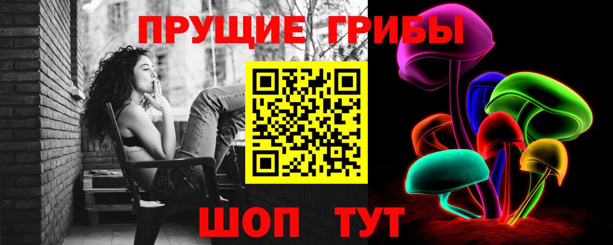 Галлюциногенные грибы Psilocybine cubensis Ачинск